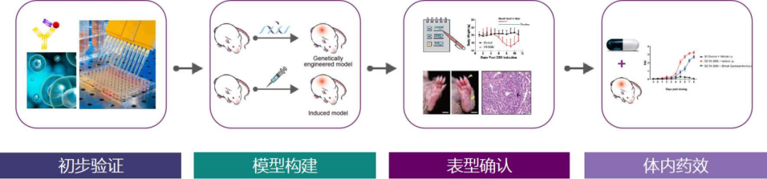 微信图片_20230831160105_2.png