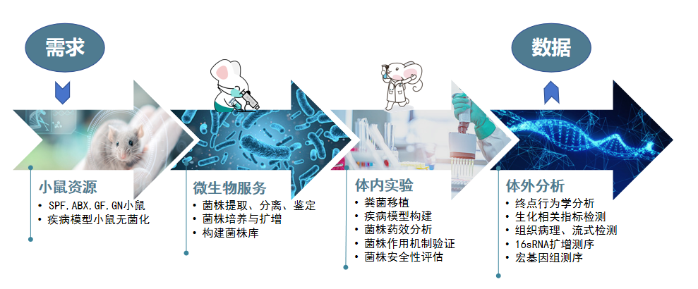 图片16.png